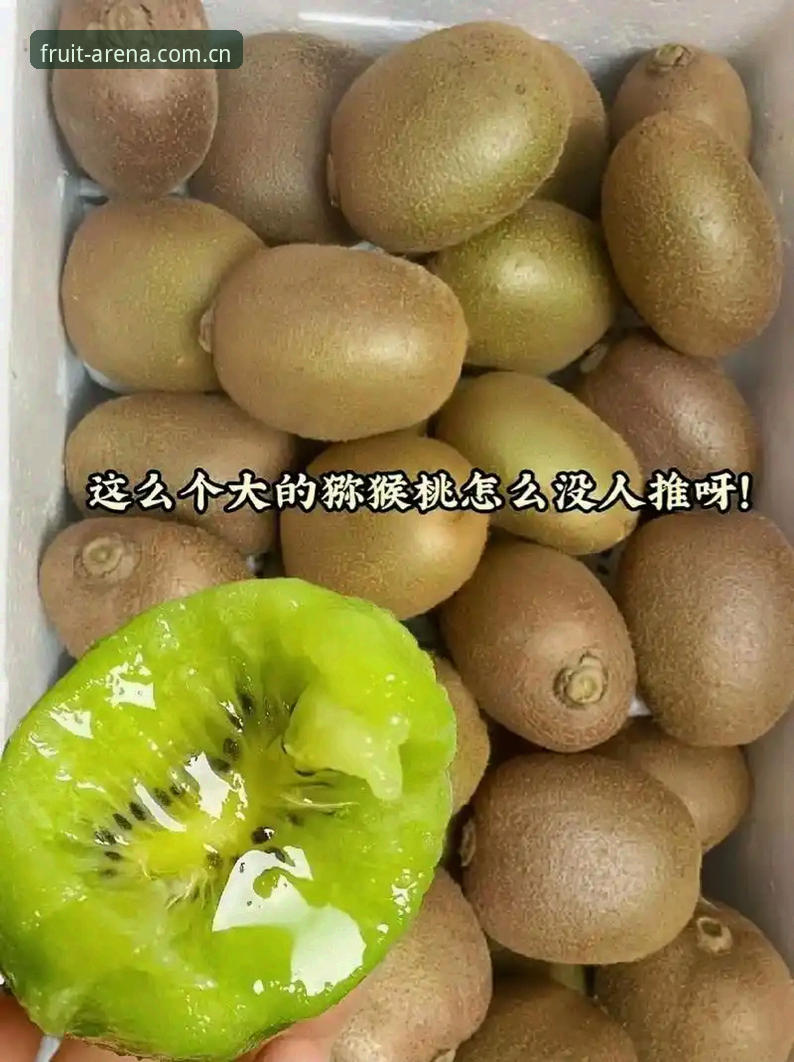 奇异果体育平台果味竞技微信版深度评测：从操作到体验的全面解析